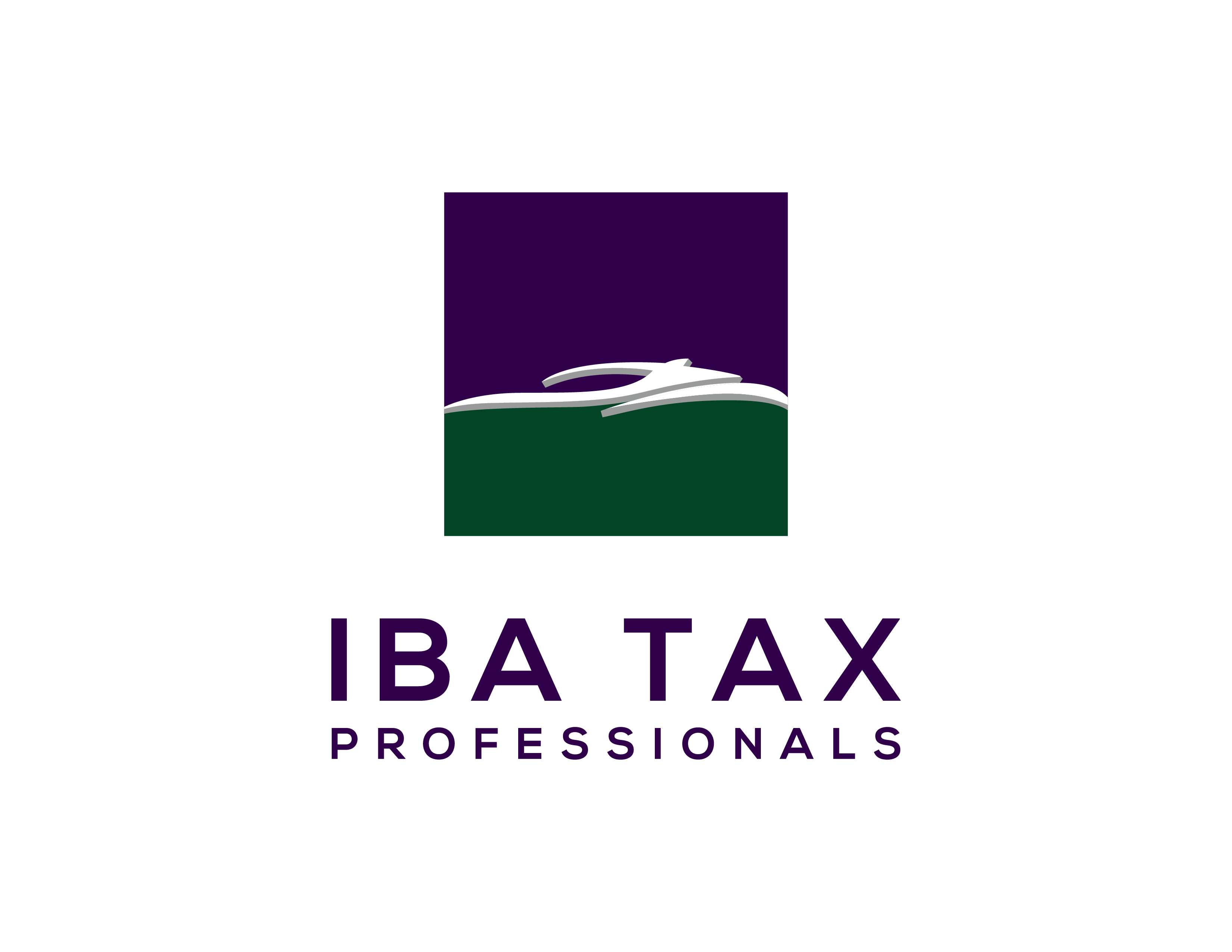 IBA Tax Professionals